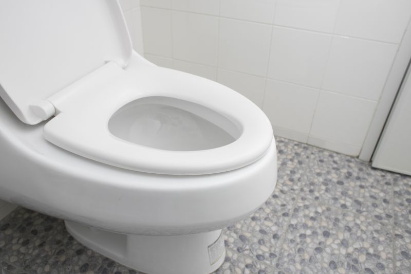 Bathroom Renovation in Farmer City, IL