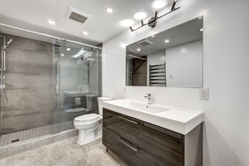 Bathroom Updating in Champaign County, IL