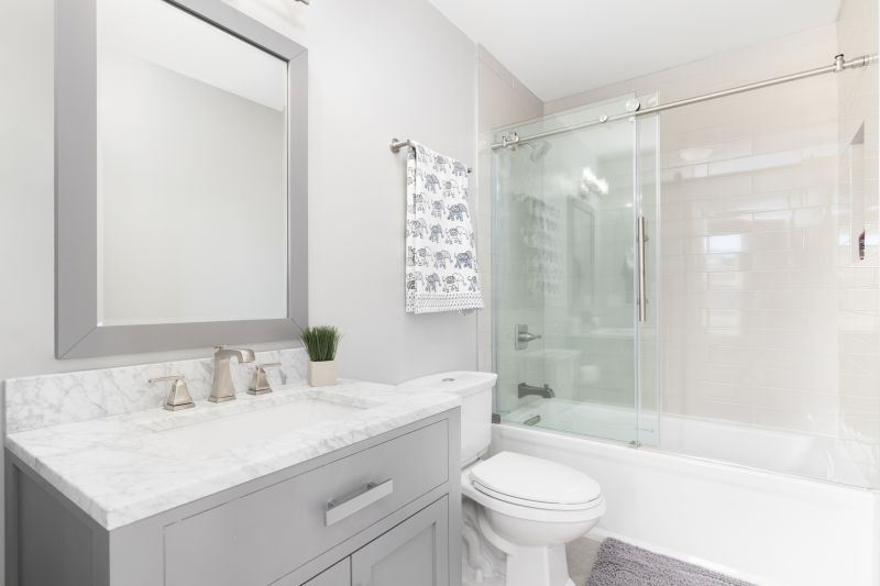 Tub Conversion Service in Champaign County, IL